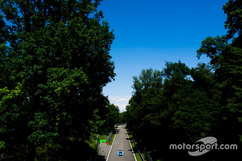 #25 Algarve Pro Racing Ligier JSP217 - Gibson: Mark Patterson, Ate De Jong, Tacksung Kim