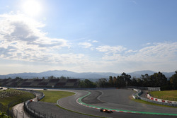 Stoffel Vandoorne, McLaren MCL33