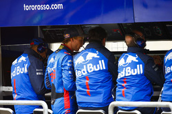 Брендон Хартли, Scuderia Toro Rosso