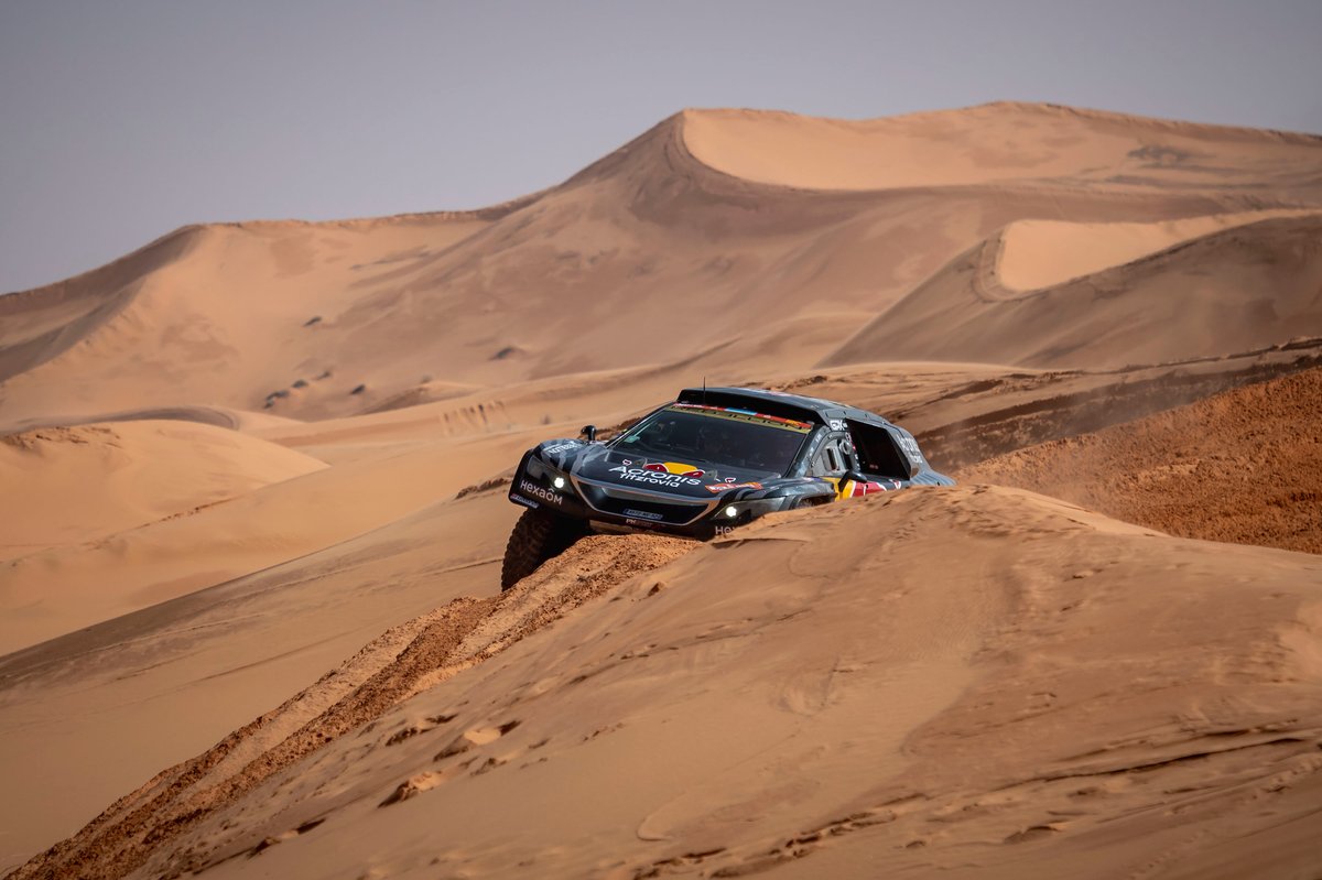 #210 Karman / Hexaom Peugeot: Cyril Despres, Taye Perry