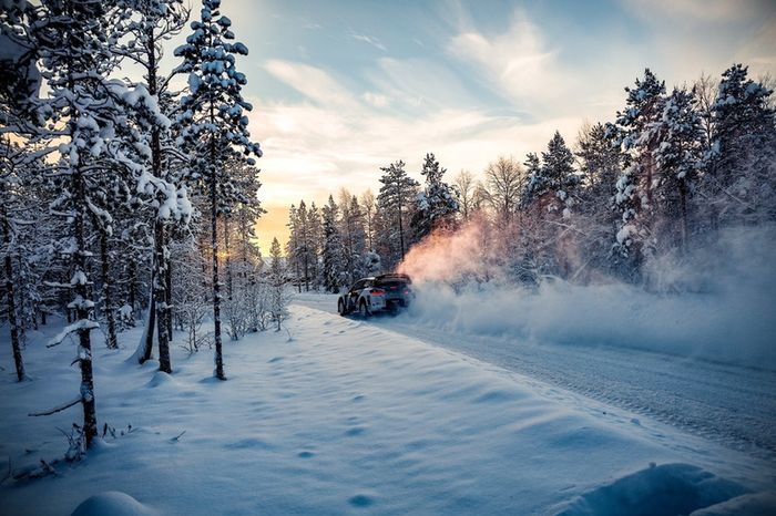 Valtteri Bottas, Ford Fiesta WRC