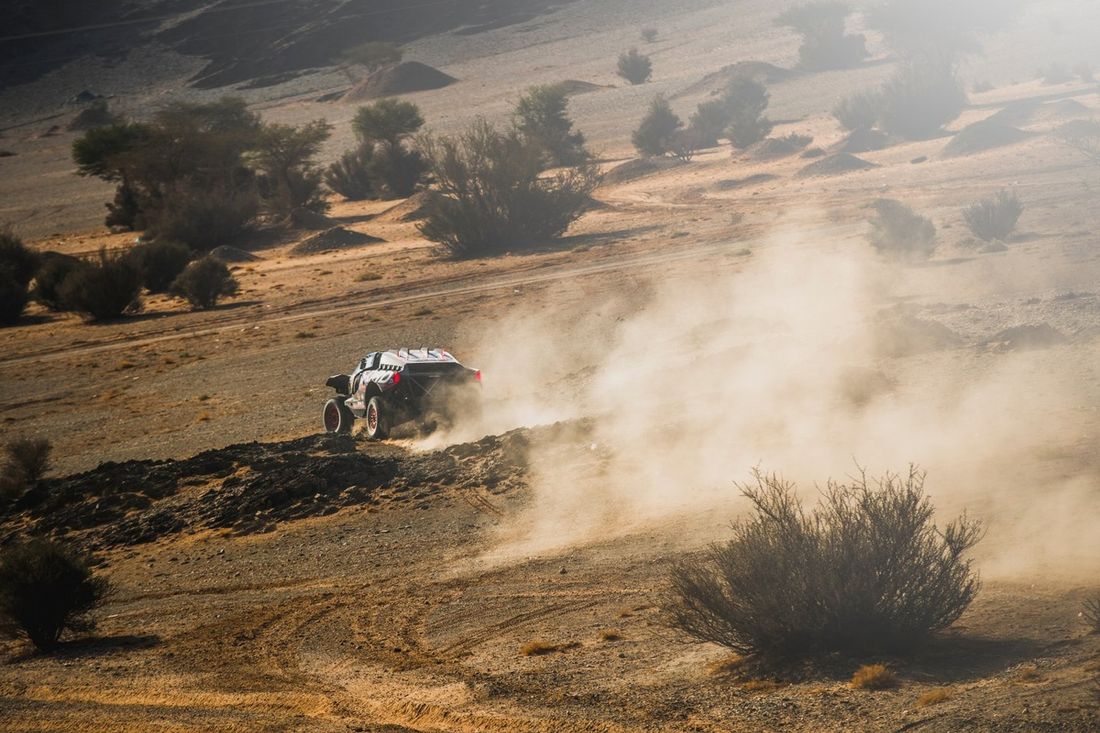 #227 Ford M-Sport: Nani Roma, Alex Haro