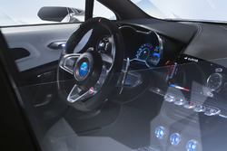 alpine vision