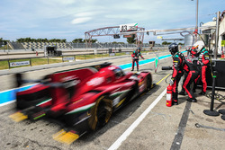 #43 RGR Sport by Morand Ligier JSP2 - Nissan: Ricardo González, Filipe Albuquerque, Bruno Senna