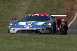 #67 Ford Performance Chip Ganassi Racing Ford GT: Ryan Briscoe, Richard Westbrook