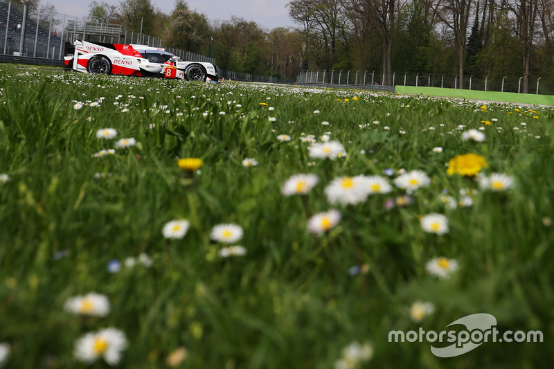 #8 Toyota TS050 Hybrid: Anthony Davidson, Nicolas Lapierre, Kazuki Nakajima