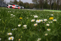 #8 Toyota Gazoo Racing Toyota TS050 Hybrid: Anthony Davidson, Nicolas Lapierre, Kazuki Nakajima