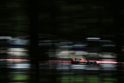Стоффель Вандорн, McLaren MCL32