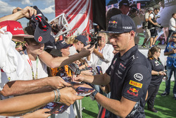 Макс Ферстаппен, Red Bull Racing