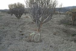 Piedras a lo largo de la ruta