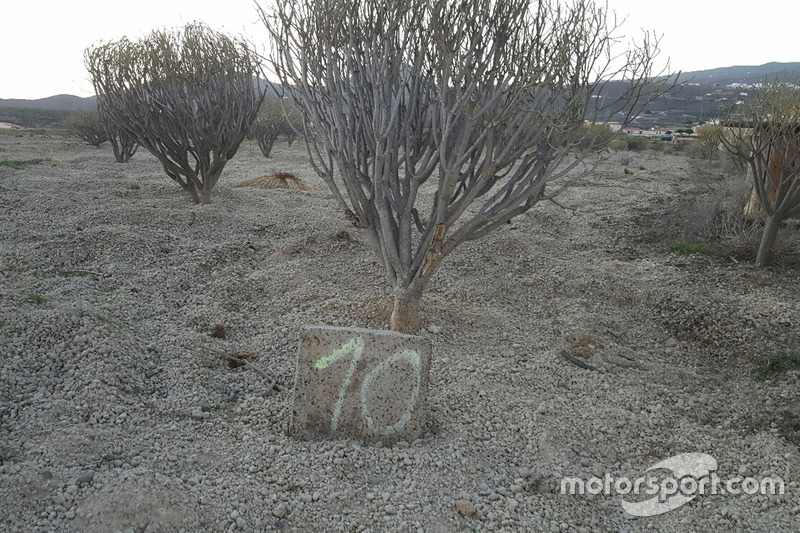 Piedras a lo largo de la ruta