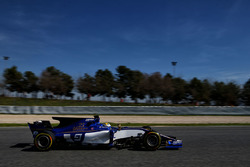 Marcus Ericsson, Sauber C36