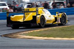 #85 JDC/Miller Motorsports ORECA 07: Misha Goikhberg, Chris Miller, Stephen Simpson, Mathias Beche