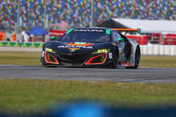 #86 Michael Shank Racing Acura NSX: Oswaldo Negri Jr., Jeff Segal, Tom Dyer, Ryan Hunter-Reay