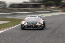 Tesla Model S P85+