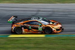 #86 Michael Shank Racing Acura NSX: Oswaldo Negri Jr., Jeff Segal, Tom Dyer