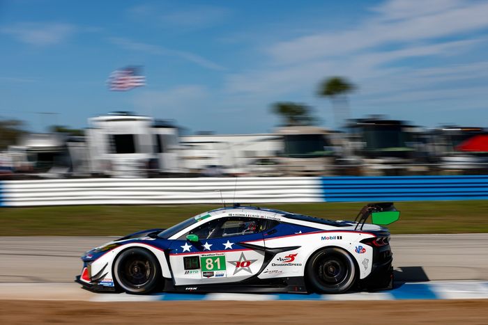 #81 DragonSpeed Corvette Z06 GT3.R: Henrik Hedman, Giacomo Altoè, Casper Stevenson