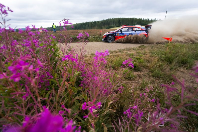 Thierry Neuville, Nicolas Gilsoul, Hyundai Motorsport Hyundai i20 Coupe WRC