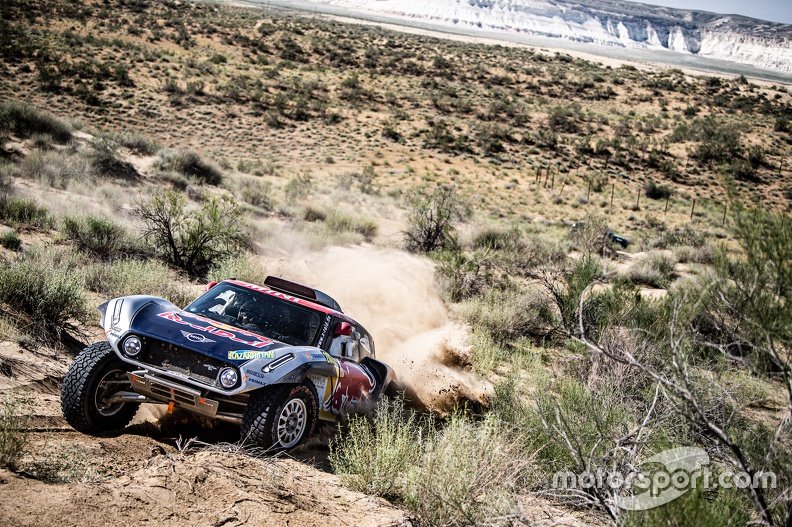 Stephane Peterhansel, Andrea Mayer, MINI X-Raid