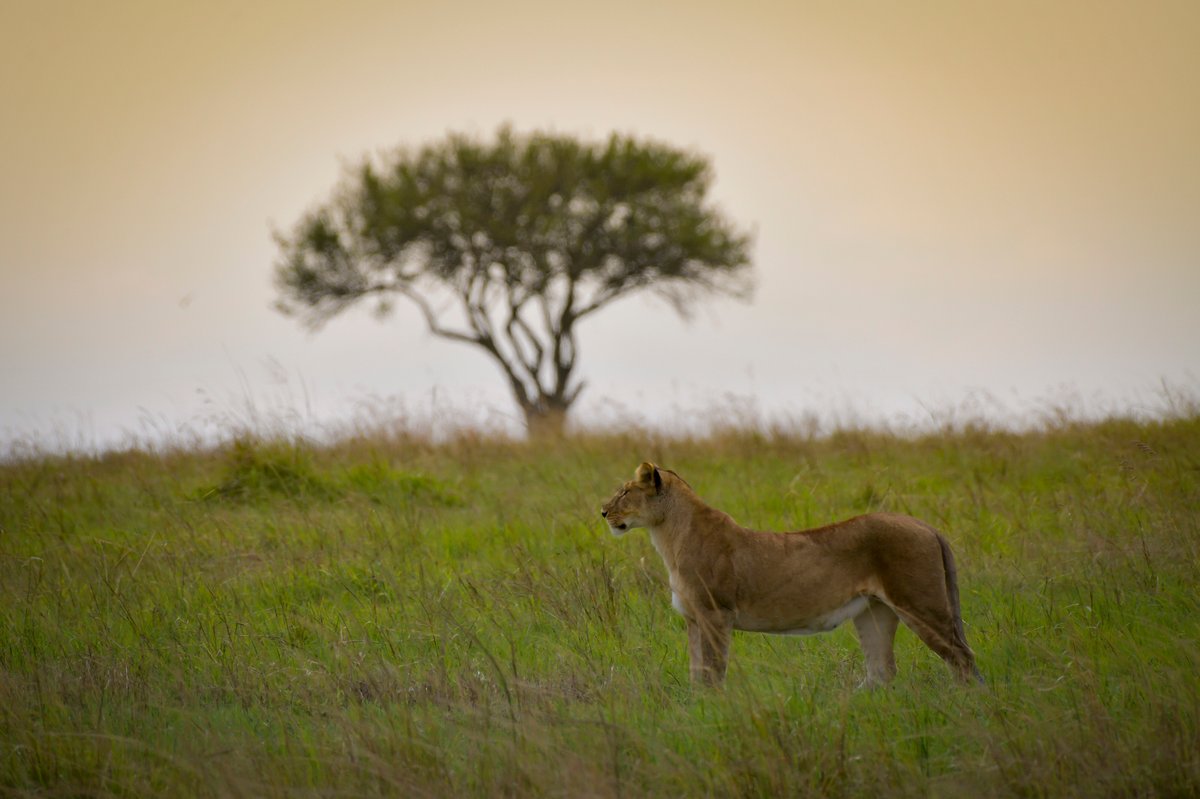Atmosphere in Kenya