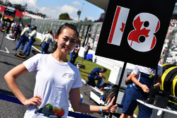 Grid girl