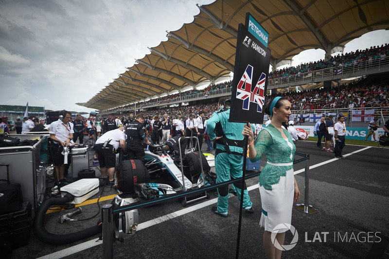 La grid Girl di Lewis Hamilton, Mercedes AMG F1