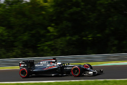 Fernando Alonso, McLaren MP4-31