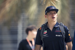 Макс Ферстаппен, Red Bull Racing