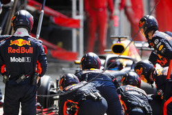 Daniel Ricciardo, Red Bull Racing RB14, effettua un pit stop