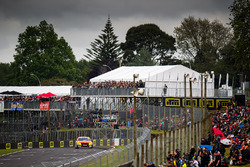 Chaz Mostert, Rod Nash Racing Ford