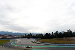 Стоффель Вандорн, McLaren MCL33
