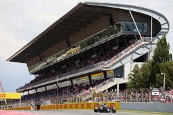 Fernando Alonso, McLaren MP4-31