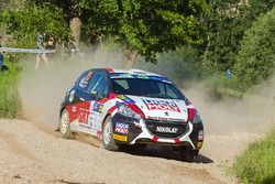 Николай Грязин и Ярослав Фёдоров, Peugeot 208 R2