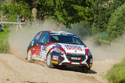 Николай Грязин и Ярослав Фёдоров, Peugeot 208 R2