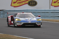 #67 Ford Performance Chip Ganassi Racing Ford GT: Ryan Briscoe, Richard Westbrook