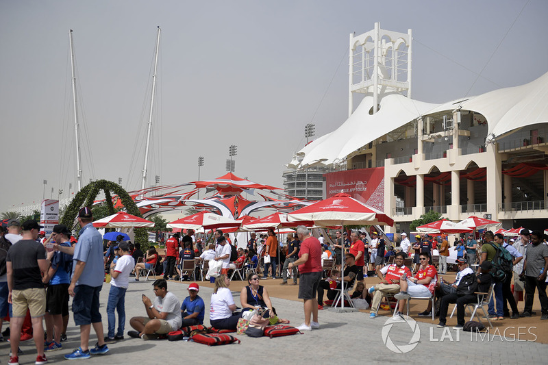 Fans and Fanzone