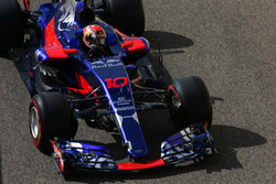Pierre Gasly, Scuderia Toro Rosso STR12