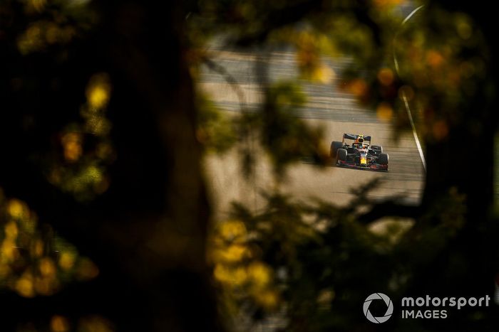 Alex Albon, Red Bull Racing RB16