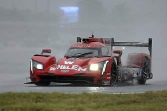 #31 Action Express Racing Cadillac DPi: Felipe Nasr, Eric Curran, Pipo Derani
