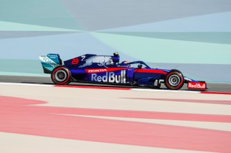 Alexander Albon, Toro Rosso STR14