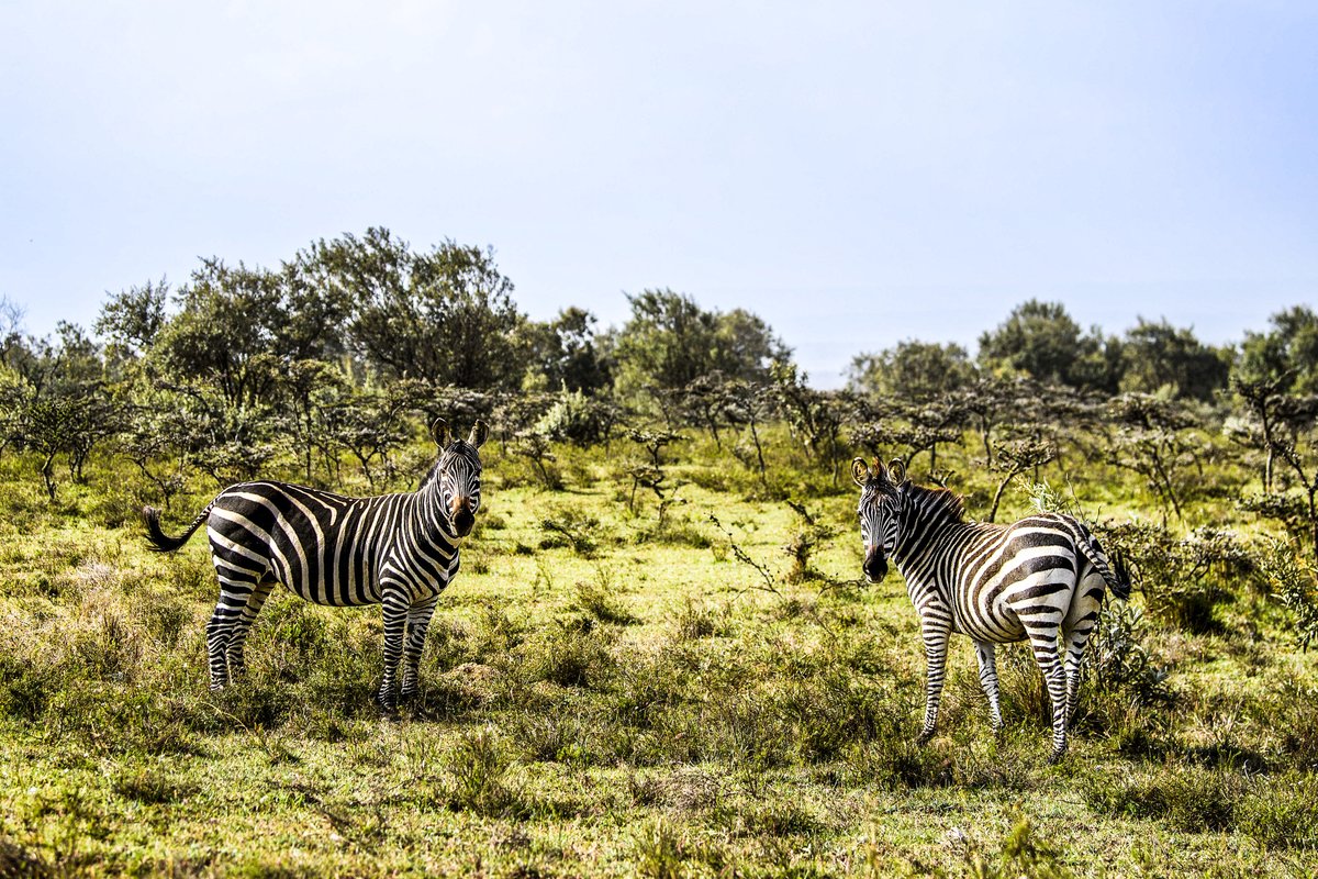 Atmosphere in Kenya