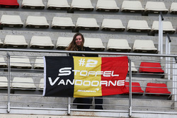 Fan of Stoffel Vandoorne, McLaren