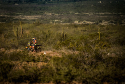 #16 Red Bull KTM Factory Racing: Matthias Walkner