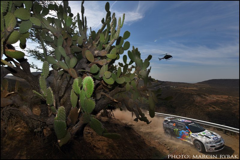 Rally Mexico 2020