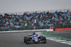 Marcus Ericsson, Sauber C36