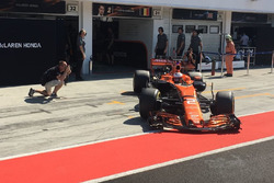 Stoffel Vandoorne, McLaren MCL32, McLaren