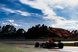 Stoffel Vandoorne, McLaren MCL32