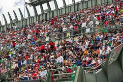 Spectators in the stadium section