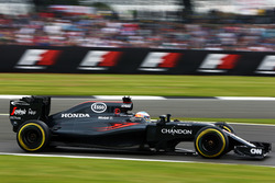 Fernando Alonso, McLaren MP4-31
