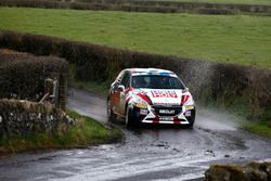 Николай Грязин и Ярослав Фёдоров, Peugeot 208 R2